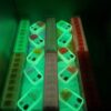 Boutiq Switch V4 Glow