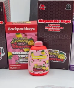 backpack boyz disposable