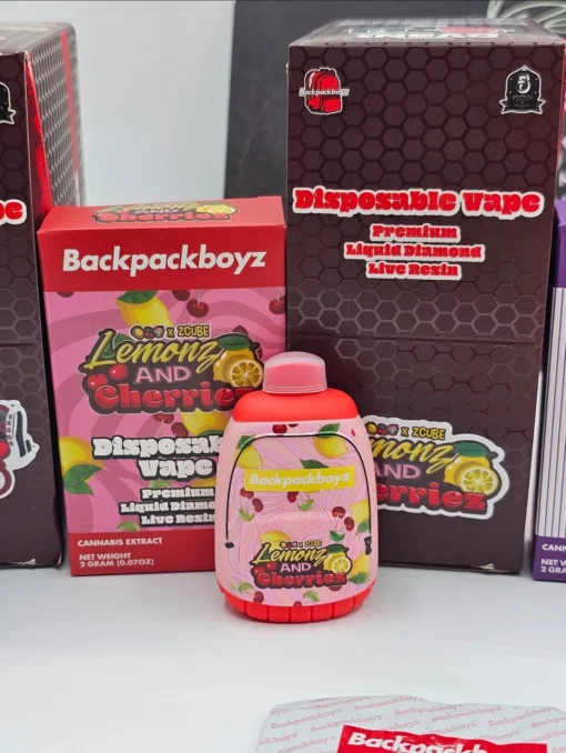 backpack boyz disposable