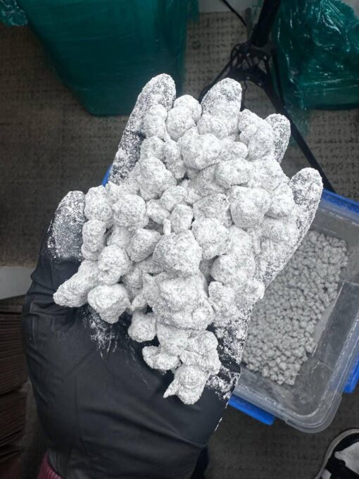 snowball weed