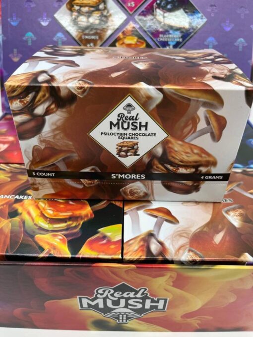 Real Mush Psilocybin Chocolate