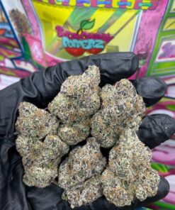 Sweetz Exotics