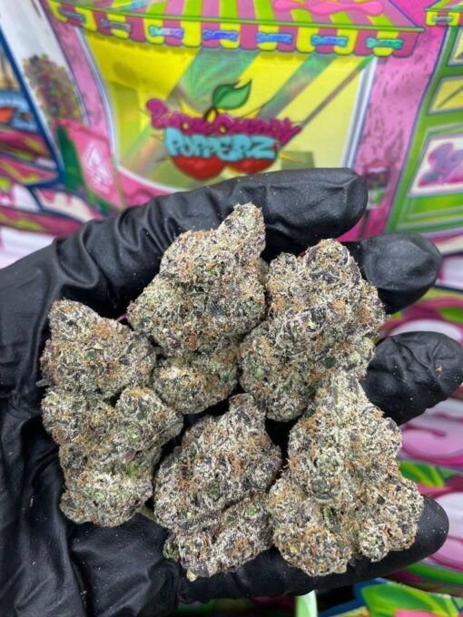 Sweetz Exotics