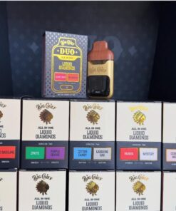 Big Chief V2 Duo Disposable